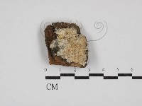 登錄號:F0030485藏品圖，第1張