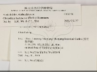 登錄號:F0030486藏品圖，第2張
