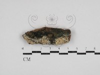 登錄號:F0030486藏品圖，第1張