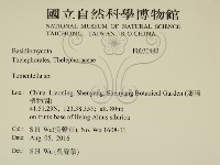 登錄號:F0030488藏品圖，第2張