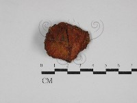 登錄號:F0030488藏品圖，第1張
