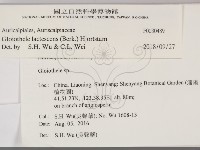 登錄號:F0030489藏品圖，第2張