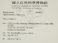 登錄號:F0030490藏品圖，第2張