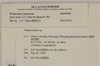 登錄號:F0030490藏品圖，第3張