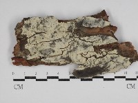 登錄號:F0030491藏品圖，第1張