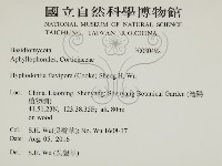 登錄號:F0030492藏品圖，第2張