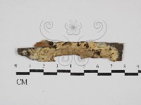 登錄號:F0030493藏品圖，第1張