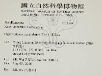 登錄號:F0030494藏品圖，第2張