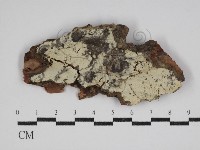 登錄號:F0030494藏品圖，第1張