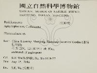 登錄號:F0030495藏品圖，第2張