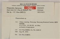 登錄號:F0030495藏品圖，第3張
