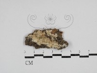 登錄號:F0030496藏品圖，第1張