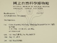 登錄號:F0030497藏品圖，第2張