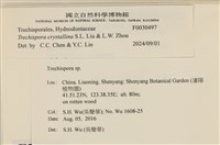 登錄號:F0030497藏品圖，第3張