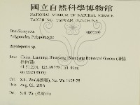 硬孔菌屬藏品圖，第2張