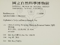 登錄號:F0030500藏品圖，第2張