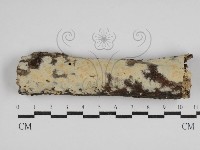 登錄號:F0030501藏品圖，第1張