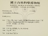 登錄號:F0030506藏品圖，第2張