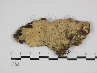 登錄號:F0030506藏品圖，第1張