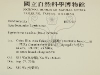 登錄號:F0030507藏品圖，第2張