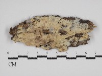 登錄號:F0030507藏品圖，第1張