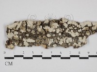登錄號:F0030510藏品圖，第1張
