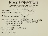 登錄號:F0030513藏品圖，第2張