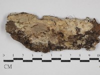 登錄號:F0030513藏品圖，第1張