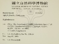 絲皮菌屬藏品圖，第2張