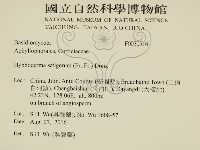 剛毛絲皮菌藏品圖，第2張