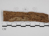 登錄號:F0030517藏品圖，第1張
