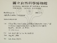 傑克菌屬藏品圖，第2張