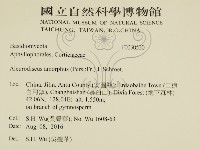 登錄號:F0030520藏品圖，第2張