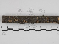 登錄號:F0030520藏品圖，第1張