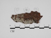 登錄號:F0030522藏品圖，第1張