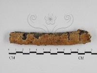 登錄號:F0030524藏品圖，第1張