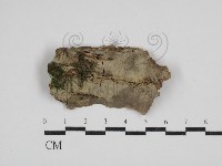 登錄號:F0030525藏品圖，第1張