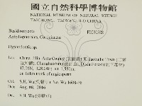 絲齒菌屬藏品圖，第2張