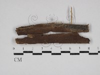 登錄號:F0030530藏品圖，第1張