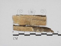 登錄號:F0030531藏品圖，第1張