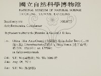 登錄號:F0030532藏品圖，第2張