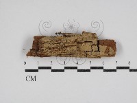 登錄號:F0030532藏品圖，第1張