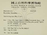 登錄號:F0030536藏品圖，第2張