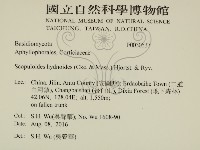 針齒銳岩菌藏品圖，第2張