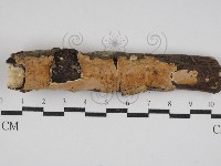 登錄號:F0030538藏品圖，第1張