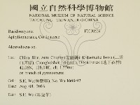 盤革菌屬藏品圖，第2張