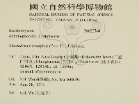 登錄號:F0030540藏品圖，第2張