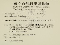 登錄號:F0030541藏品圖，第2張