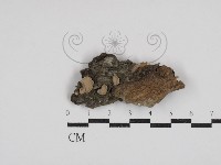 登錄號:F0030541藏品圖，第1張