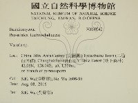登錄號:F0030542藏品圖，第2張
